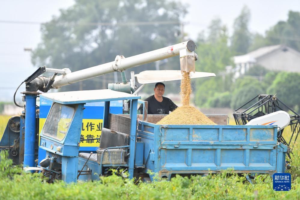 c9官网下载